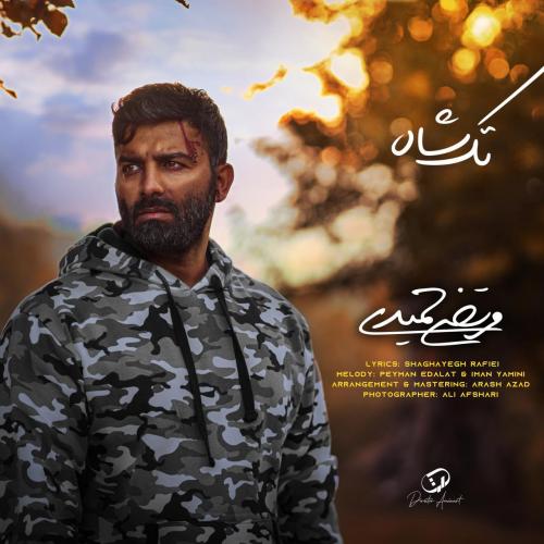 مرتضی حمیدی تک شاه